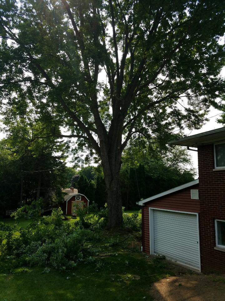Close view of professional tree service equipment