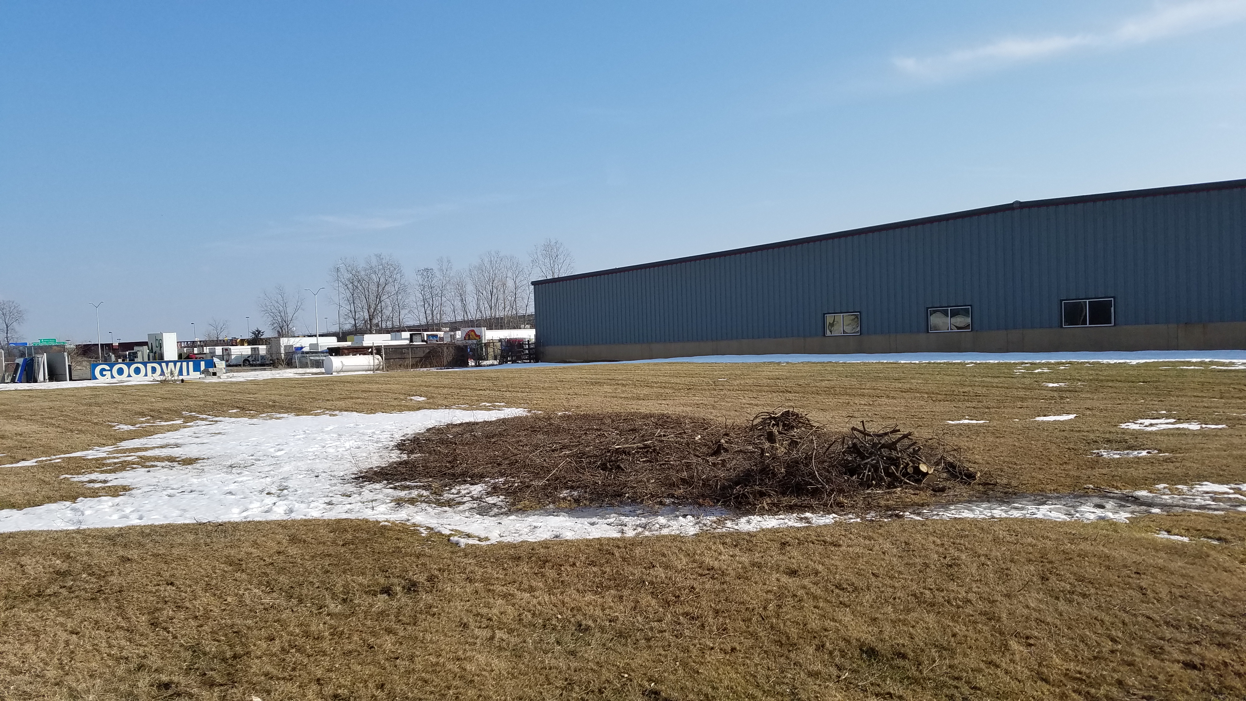 Completed tree service project by MnB Tree Service