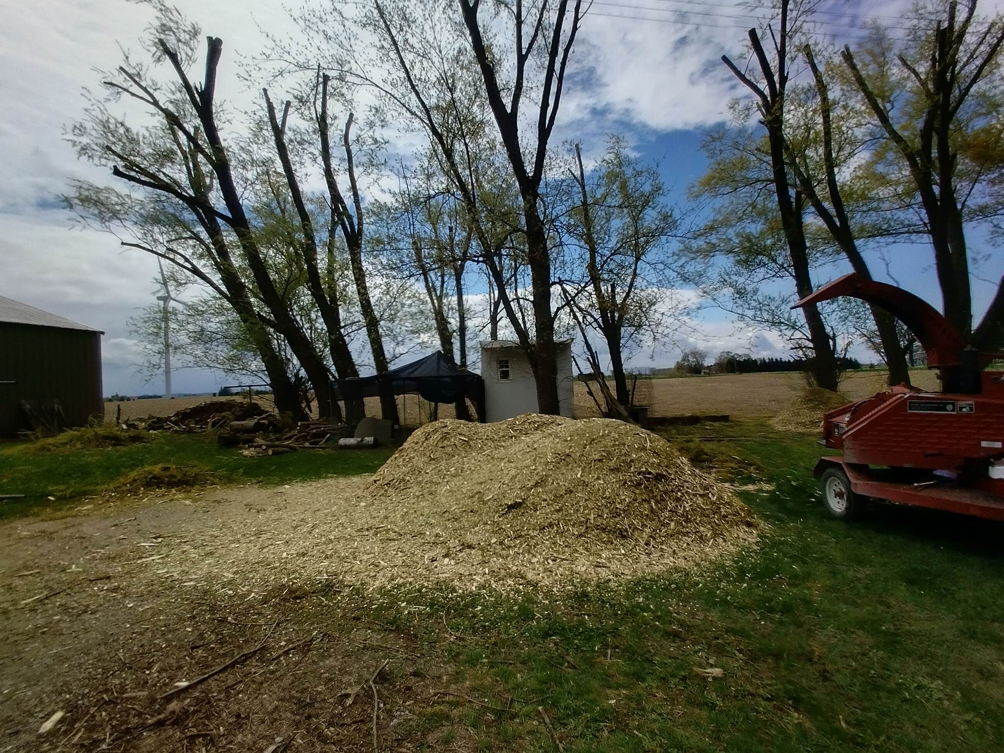 Property cleanup and debris cleared on a Michigan lot