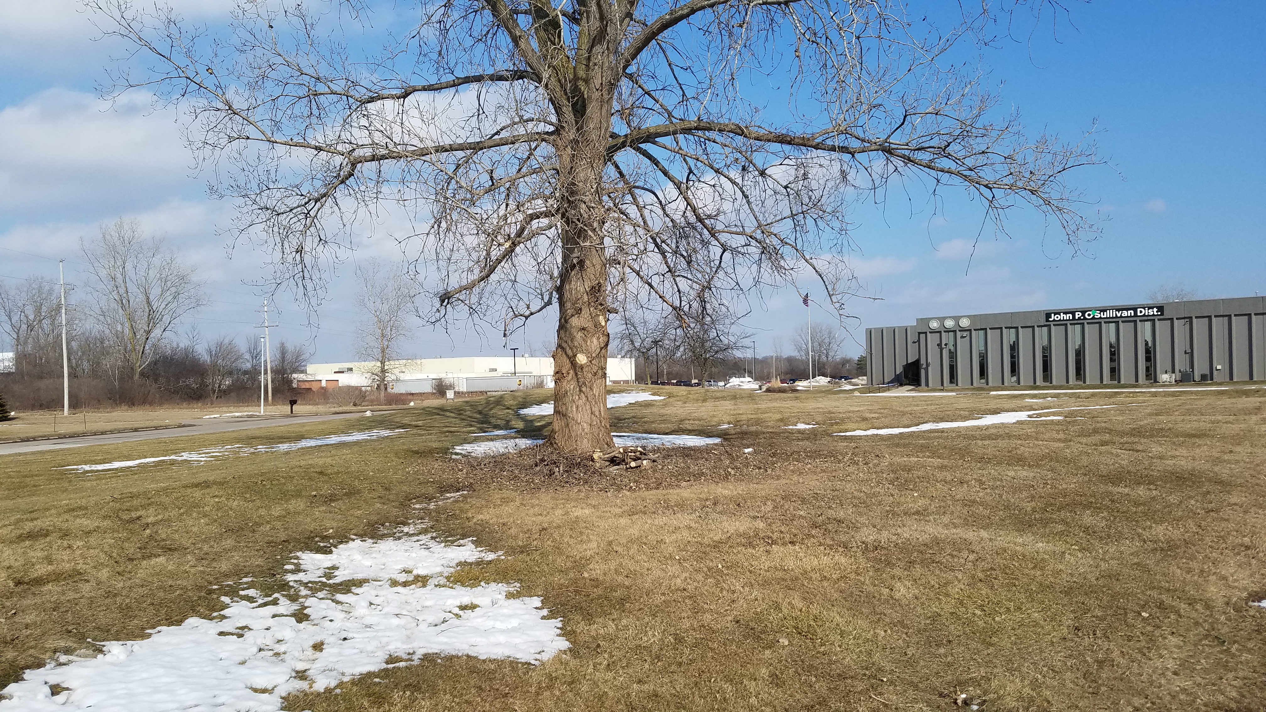 Tree removal work on a residential Michigan property
